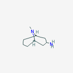 Structure of exo-3-amino-9-methyl-9-azabicyclo[3.3.1]nonane