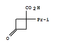 Structure of Cyclobutanecarboxylicacid, 1-(1-methylethyl)-3-oxo-