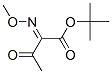 Structure of 2-Methoxyimino-3-oxobutyric acid tert-butyl ester