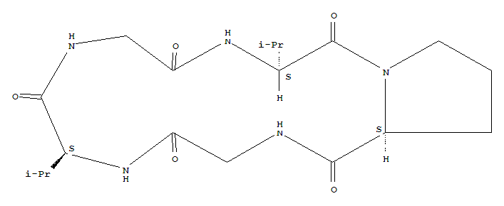 Structure of cyclo(valyl-prolyl-glycyl-valyl-prolyl)