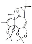 Structure of (1aR,7bR)-1aα,2,7aα,13,14,14aα-Hexahydro-1,1,6,6,9,9,11,13α-octamethyl-10aαH-2α,12aα-methano-1H,4H-cyclopropa[5,6][1,3]dioxolo[2,3]cyclopenta[1,2:9,10]cyclodeca[1,2-d][1,3]dioxin-15-one