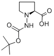 (S)-(-)-N-BOC-L-hydrazinoproline结构式
