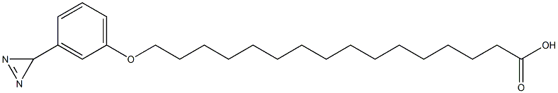 Structure of omega-(3-diazirinophenoxy)hexadecanoic acid