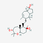 Structure of (-)-Sipholenol A