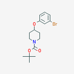 Structure of tert-butyl4-(3-bromophenoxy)piperidine-1-carboxylate