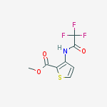 Structure of 3-(2,2,2-trifluoro-acetylaMino)-thiophene-2-carboxylicacidMethylester
