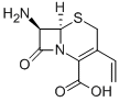 Structure of 7-AVCA