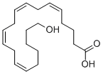 Chemical structure of 20-HETE