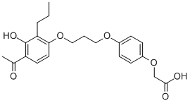 Structure of L-165,041