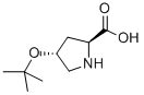 Structure of H-HYP(TBU)-OH