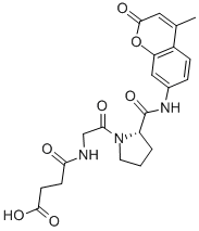 Structure of SUC-GLY-PRO-AMC