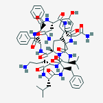 Structure of Tyrocidines