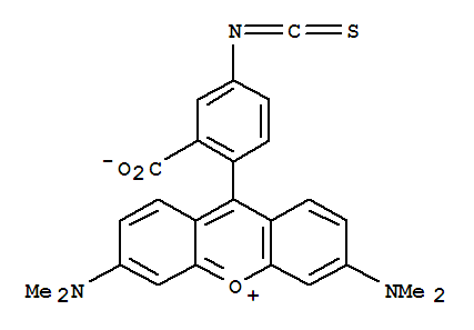 Structure of 9-(2-Carboxy-4-isothiocyanatophenyl)-3,6-bis(dimethylamino)xanthylium inner salt