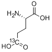 Structure of L-GLUTAMIC ACID (5-13C)