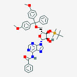 Cas Number: 81256-88-4