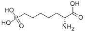 Structure of D(-)-2-AMino-7-phosphonoheptanoic acid
