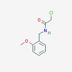 Structure of 2-Chloro-N-(2-methoxy-benzyl)-acetamide