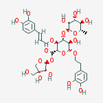 Structure of Forsythoside B