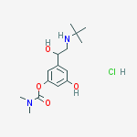 Structure of Bambuterol Monocarbamate