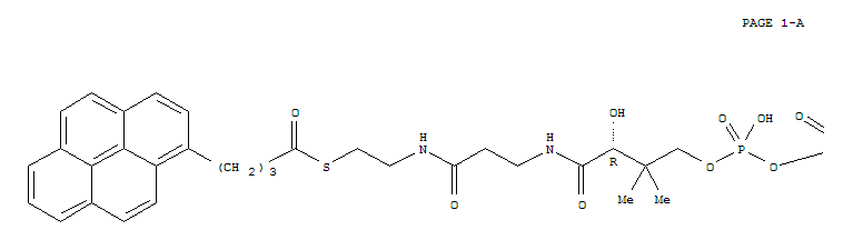 1-pyrenebutyryl-coenzyme A结构式