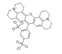 Structure of SULFORHODAMINE 101 ACID CHLORIDE