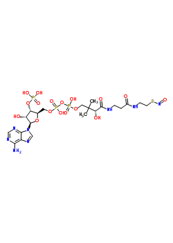 Structure of S-nitroso-coenzyme A
