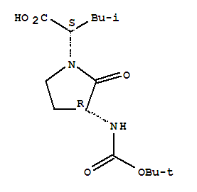 Structure of BOC-FREIDINGERS LACTAM