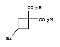 Structure of 1,1-cyclobutanedicarboxylic acid, 3-bromo-