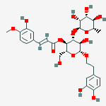 Structure of LEUCOSCEPTOSIDEA