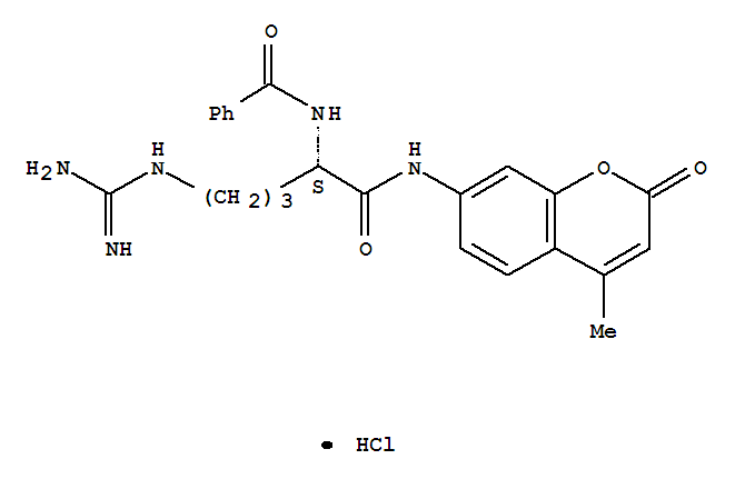 Structure of N-ALPHA-BENZOYL-L-ARGININE 7-AMIDO-4-METHYLCOUMARIN HYDROCHLORIDE