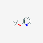 Structure of 2-tert-butoxypyridine