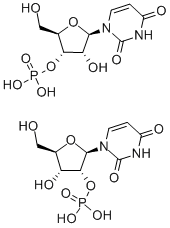 Structure of URIDYLIC ACID