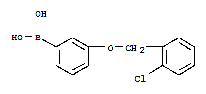 3-(2-氯苄氧基)苯基硼酸结构式