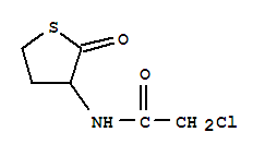 Structure of N-CHLOROACETYL-DL-HOMOCYSTEINE THIOLACTONE