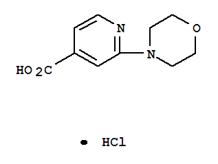 Structure of 2-MORPHOLIN-4-YL-ISONICOTINIC ACID HYDROCHLORIDE