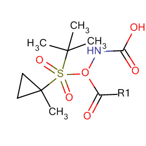 Carbamic acid, [(1-methylcyclopropyl)sulfonyl]-, 1,1-dimethylethyl ester结构式
