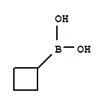 Structure of CYCLOBUTYLBORONIC ACID