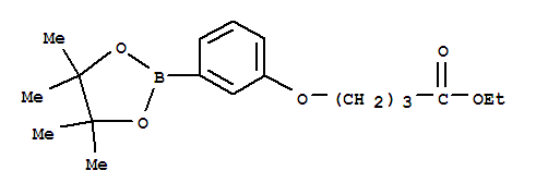 Structure of 4-[3-(4,4,5,5-TETRAMETHYL-[1,3,2]DIOXABOROLAN-2-YL)-PHENOXY]-BUTYRIC ACID ETHYL ESTER