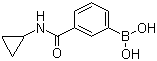 Structure of 3-(Cyclopropylaminocarbonyl)phenylboronic acid