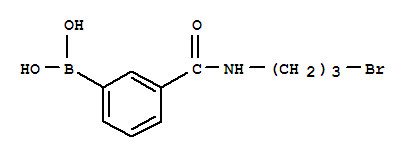 Structure of N-(3-BROMOPROPYL) 3-BORONOBENZAMIDE