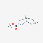 Structure of TERT-BUTYL 7-OXO-3-AZABICYCLO[3.3.1]NONANE-3-CARBOXYLATE