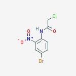 AcetaMide, N-(4-broMo-2-nitrophenyl)-2-chloro-结构式