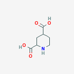 Structure of piperidine-2,4-dicarboxylic acid