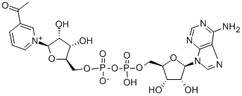Structure of 3-ACETYLPYRIDINE ADENINE DINUCLEOTIDE