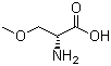 Structure of (R)-2-Amino-3-methoxylpropanoic acid