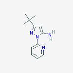 3-叔丁基-1-(吡啶-2-基)-1H-吡唑-5-胺结构式