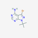 Structure of 1H-Pyrazolo[3,4-d]pyrimidin-4-amine, 3-bromo-1-(1,1-dimethylethyl)-
