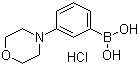 3-吗啉苯硼酸盐酸盐结构式