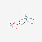 Structure of 7-Boc-3-oxa-7,9-diazabicyclo[3.3.1]nonane