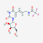 Structure of (E)-5-[3-(TRIFLUOROACETAMIDO)-1-PROPENYL]URIDINE